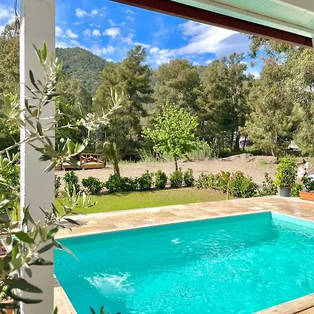 Luxury With Pool In Villa *