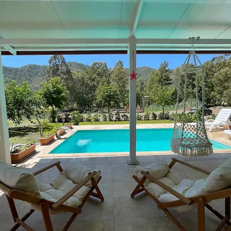 Luxury With Pool In